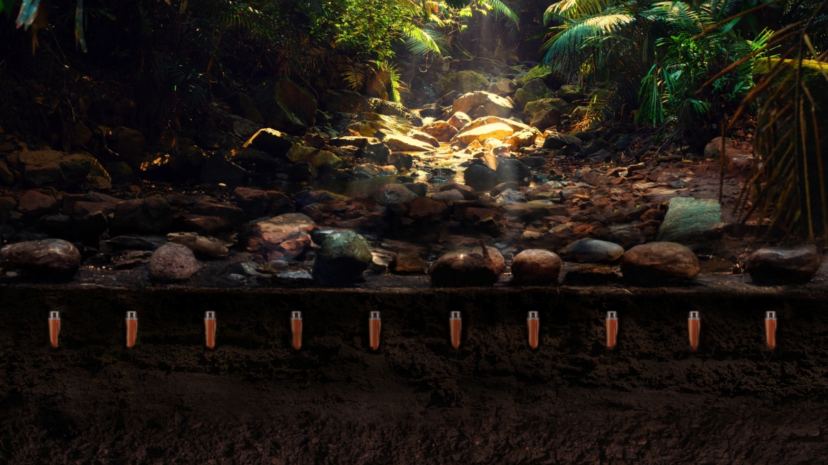 STRYDE Node Visualisation Jungle