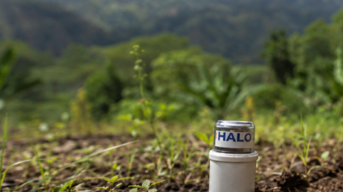 Halo oil