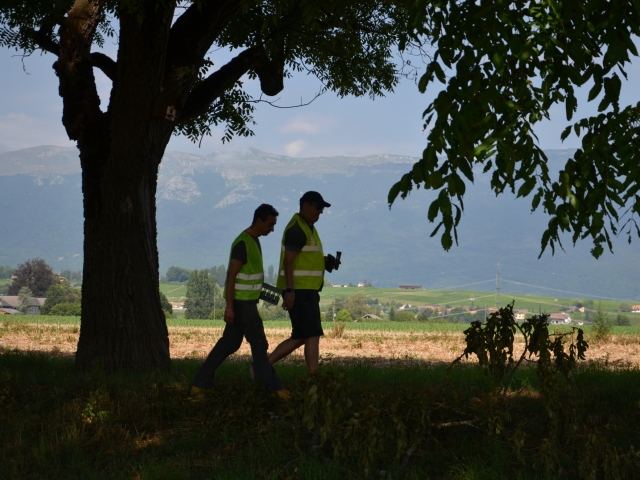 A personal echo from the field - the moment that validated it all