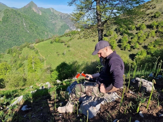 Mapping Natural Hydrogen Potential in the Pyrenees Foothills Using 3C Passive Seismic