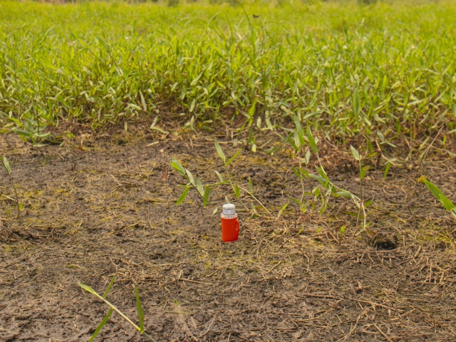 Monitoring the critical zone with ambient seismic noise recorded on a dense nodal array