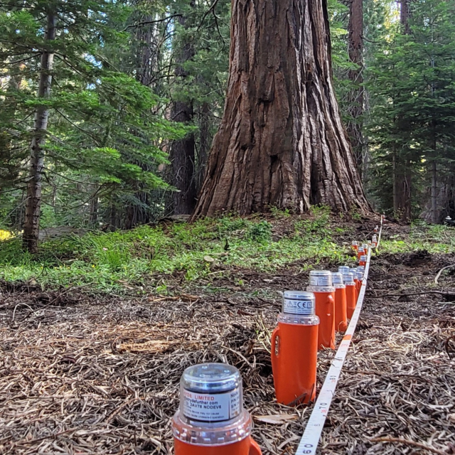 The affordable subsurface imaging method that is transforming Critical Zone analysis