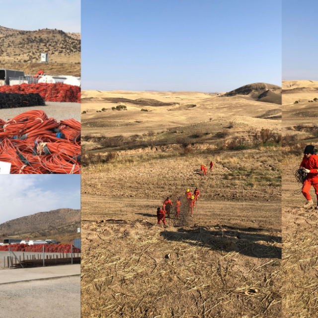 The harsh reality of working with cabled seismic sensors in desert environments: true stories