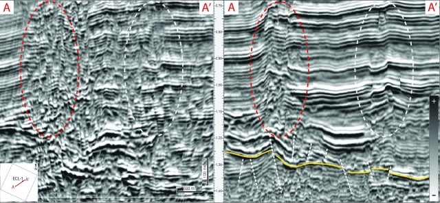 EGC2025 2 Dvs3 D Pseudo