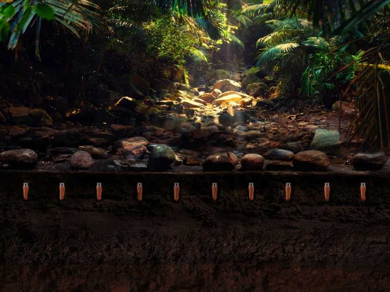STRYDE Node Visualisation Jungle
