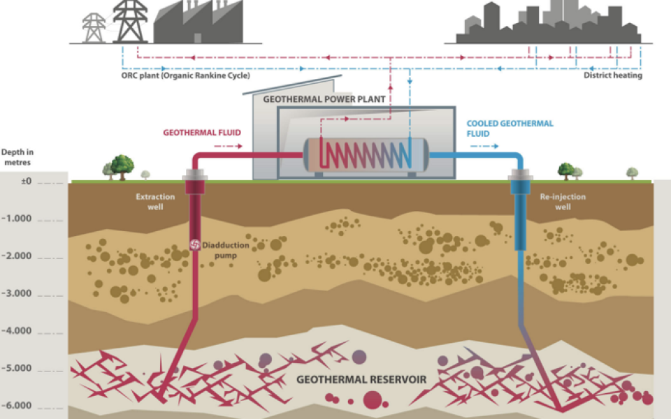 Geothermal fluids